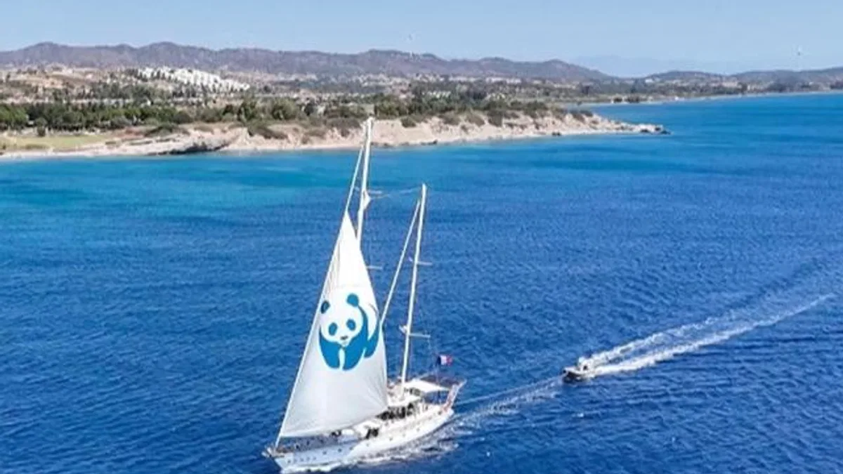 'Blue Panda' Mavi Ormanlar için Türkiye'de